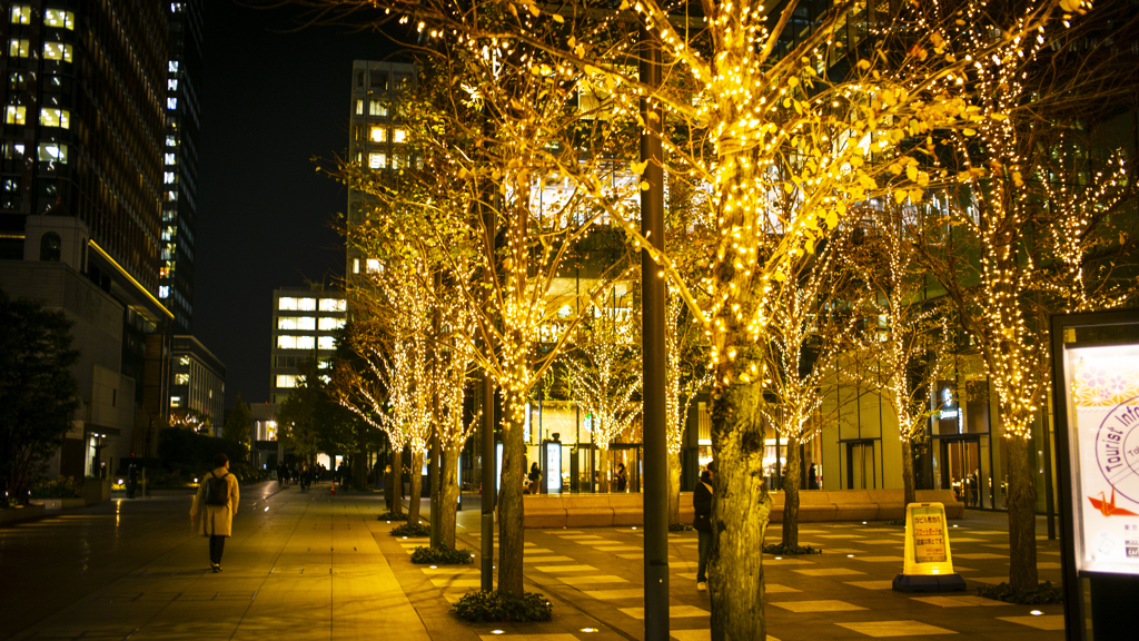 お楽しみはこれから