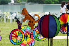 自転車に乗って
