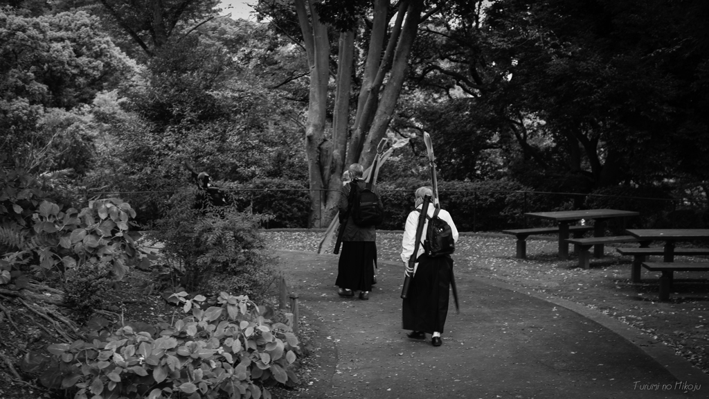 武士（もののふ）が行く