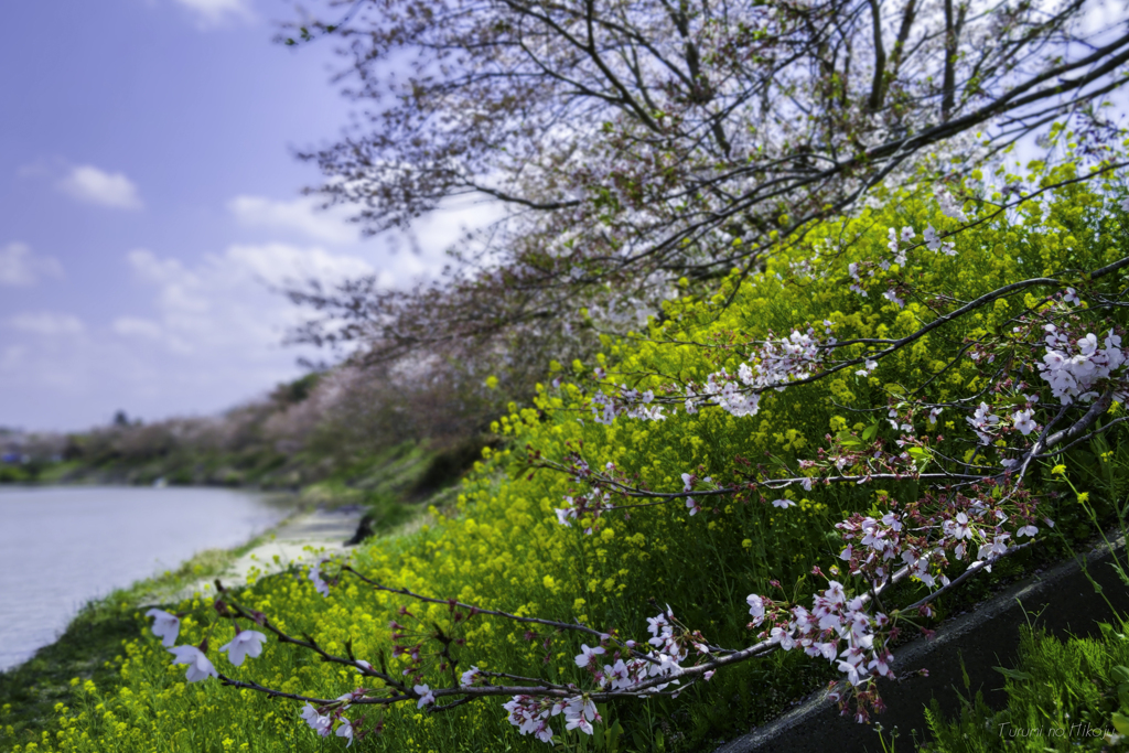 バスはどこに居るんだァ～