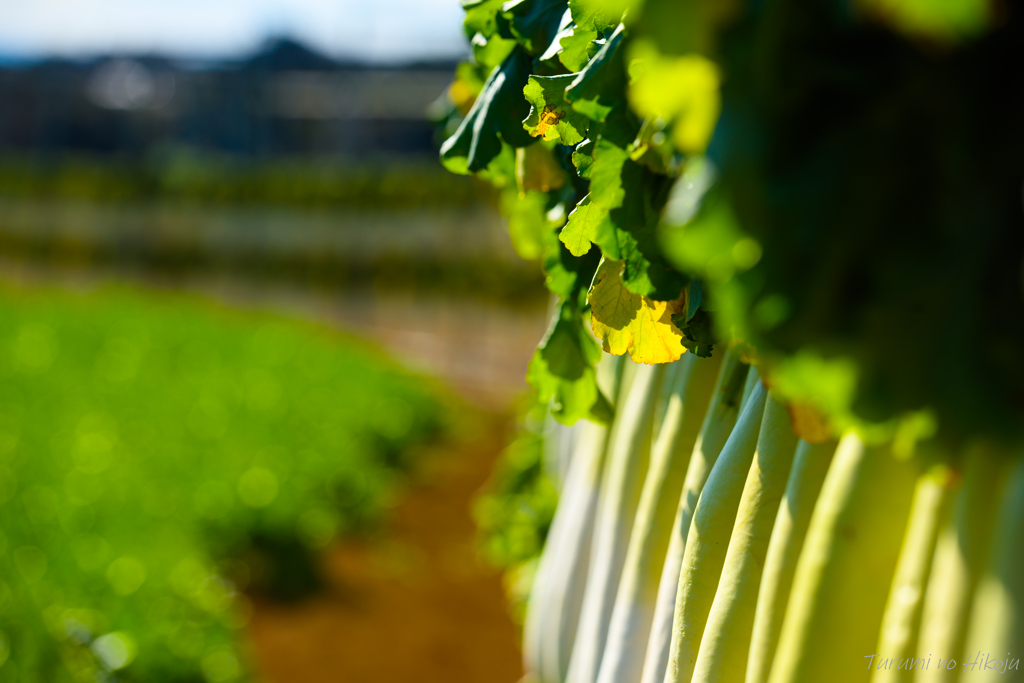 まだ間に合いました