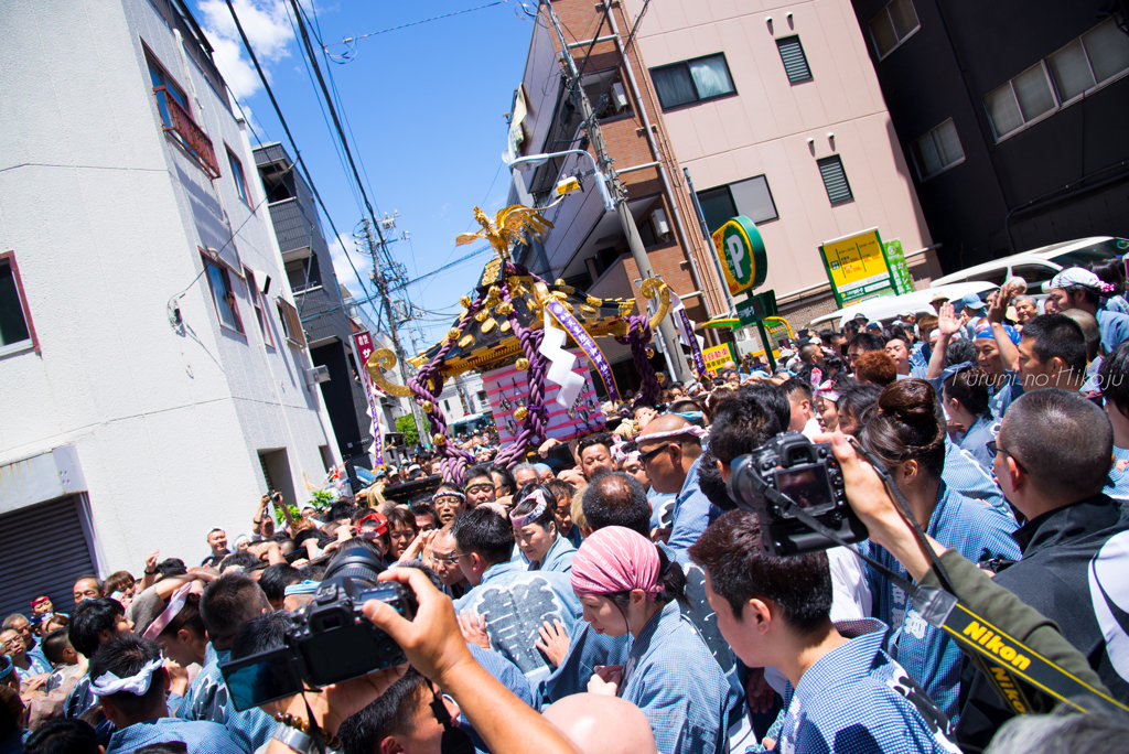 神輿も揺れるがカメラも揺れる
