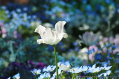 Garden-Necklace