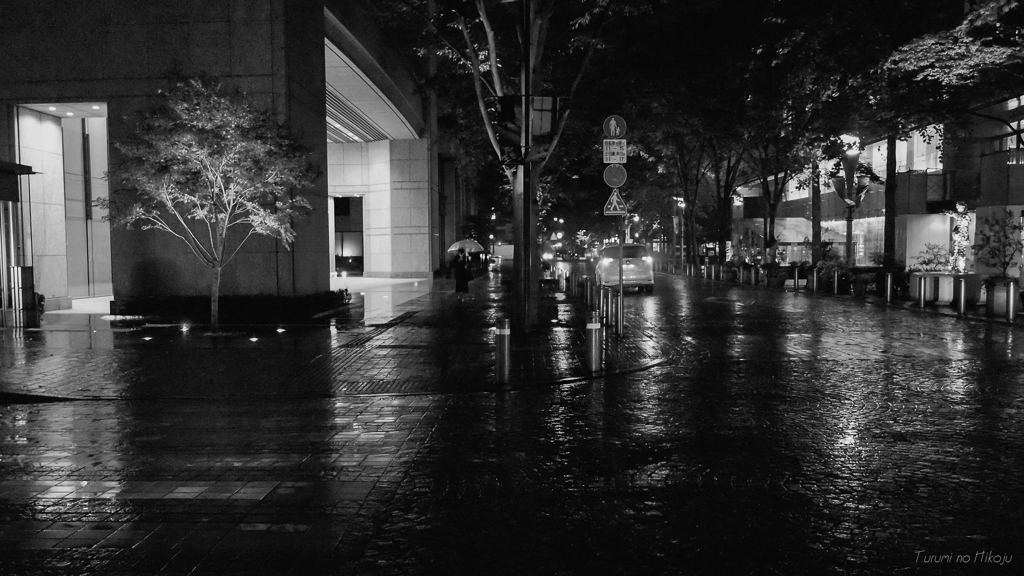 一人静かに雨の中・・・