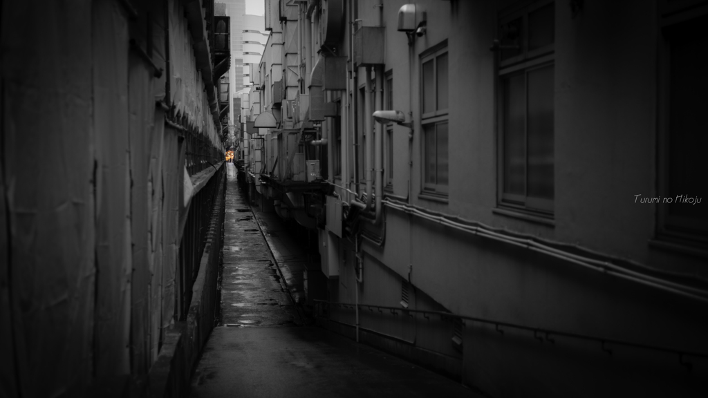 冬の雨の日は・・・