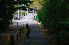 鎌倉の秋と