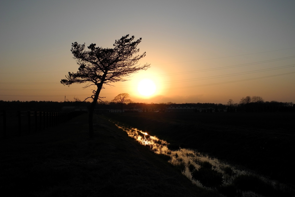 用水路の夕景