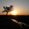 用水路の夕景