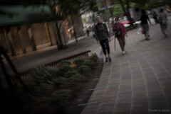 Hibiya Walk 2025