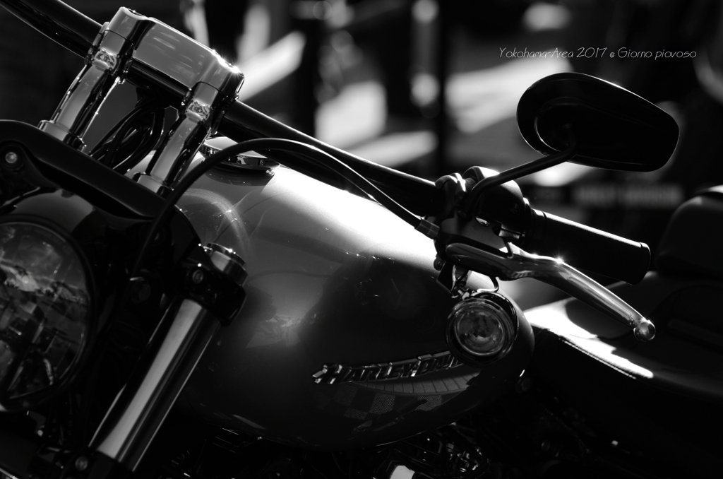 Black &