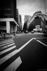Hibiya walk 2020