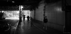 何を撮ってるの