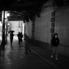 何を撮ってるの