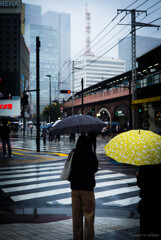 雨の日が好き