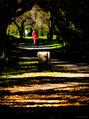 冬の公園で・・・