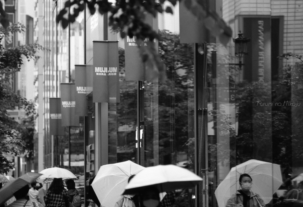 雨傘と雨傘と雨傘と