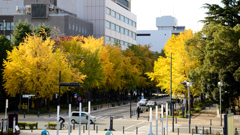 秋の横浜、漫ろ歩き　２