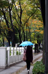 秋と霧雨と青い傘と・・・