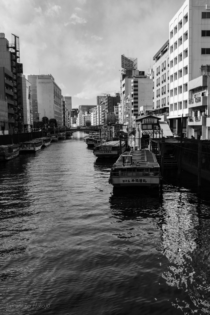 モノクロ　柳橋