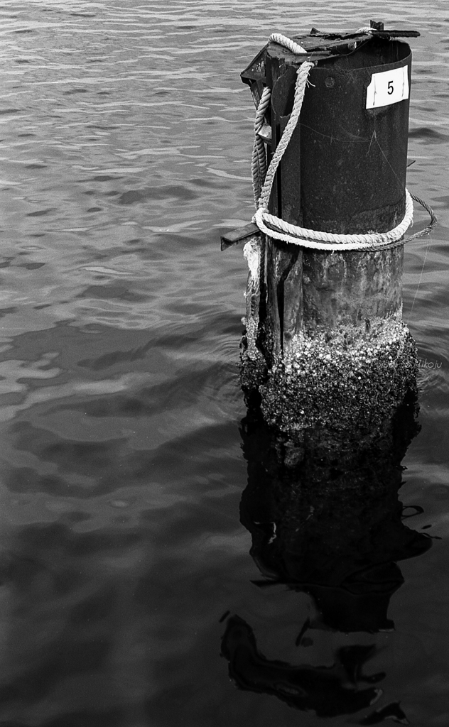 Winter port 