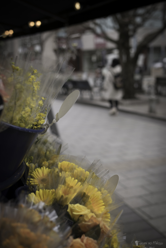 車が入ってこない路