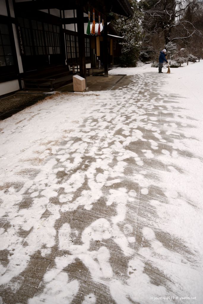 雪中