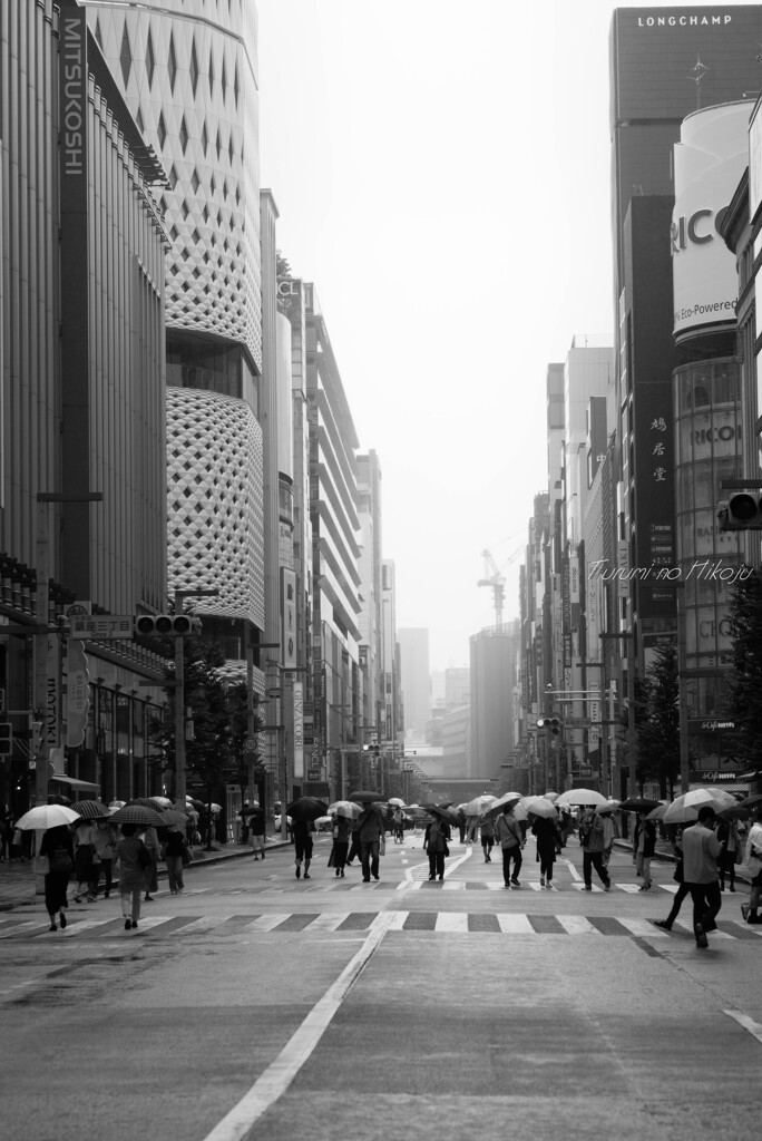 霧雨に煙る