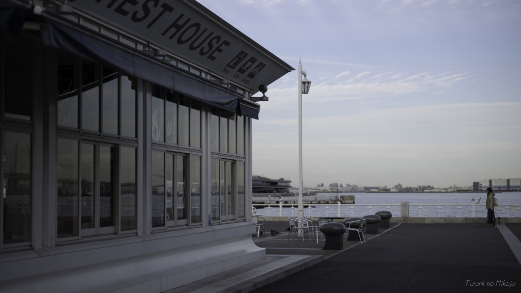 Winter portside