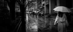 雨の街角