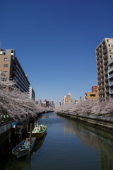 春、空と桜と横川と