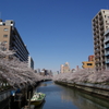 春、空と桜と横川と