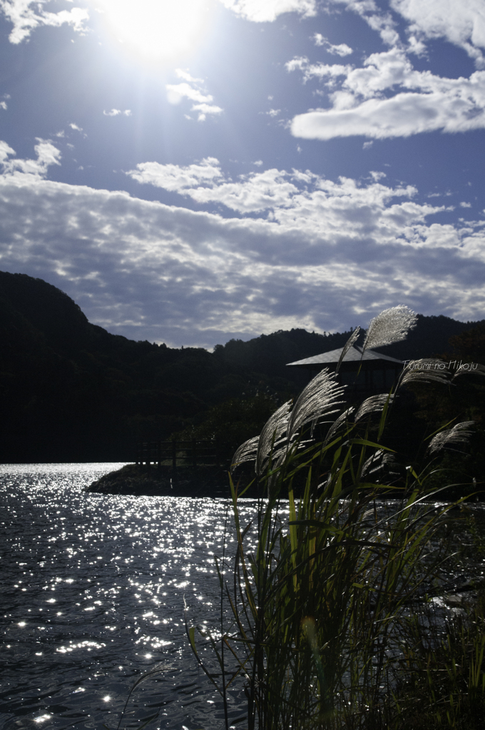 Autumn Reservoir 