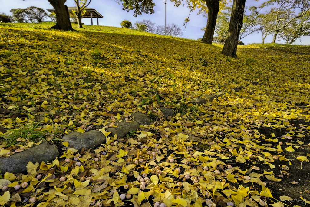 golden alley