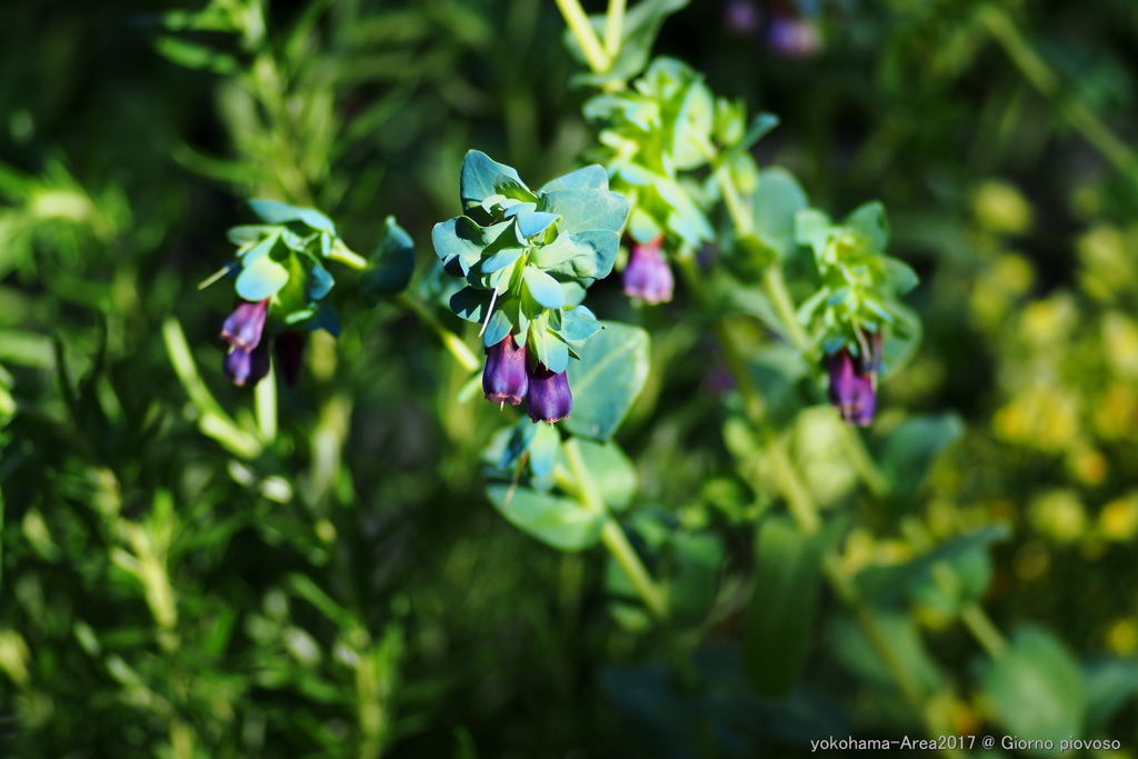 Garden-Necklace 