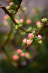 雰囲気だけでも・・・