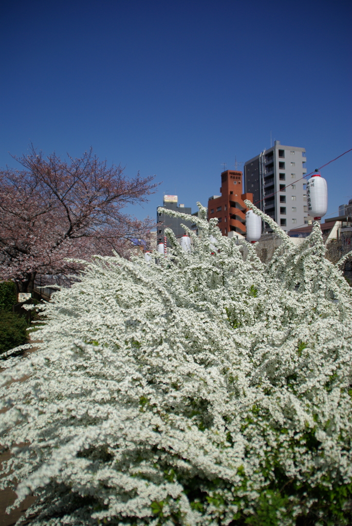 気持ちの良い一日