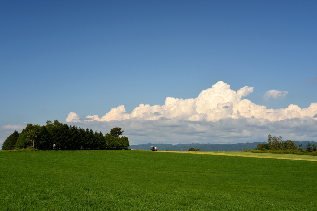 白い雲を追いかけて