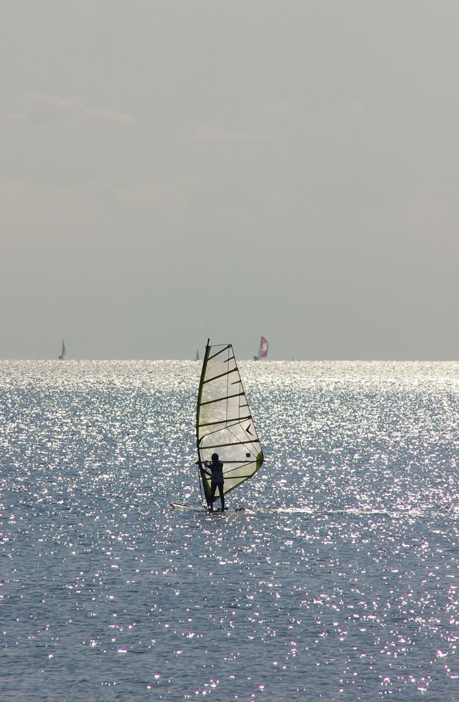 長谷の海