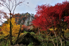 紅葉　岩