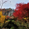 紅葉　岩