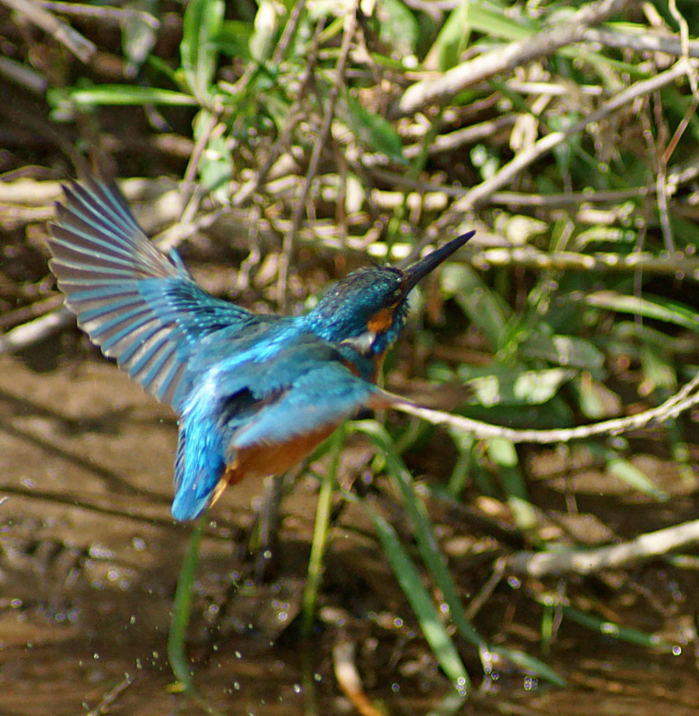 束の間の晴れ間にて
