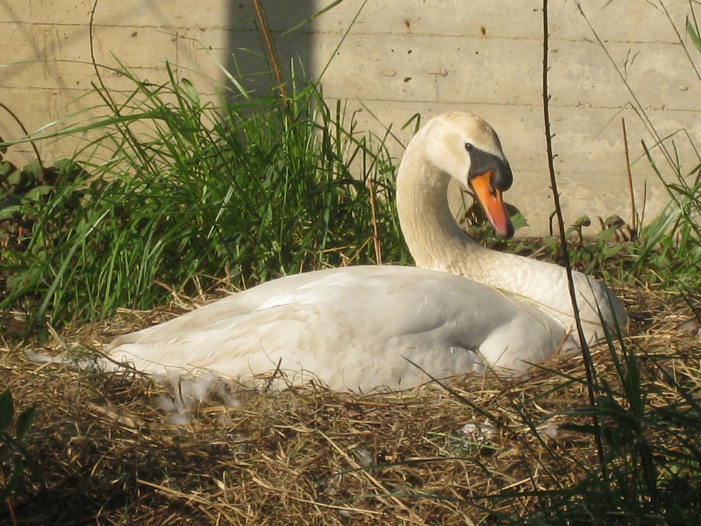 水戸に・・・？