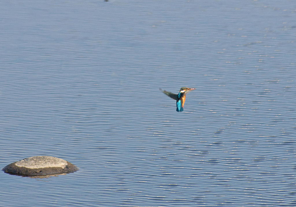 ママやるじゃん^^