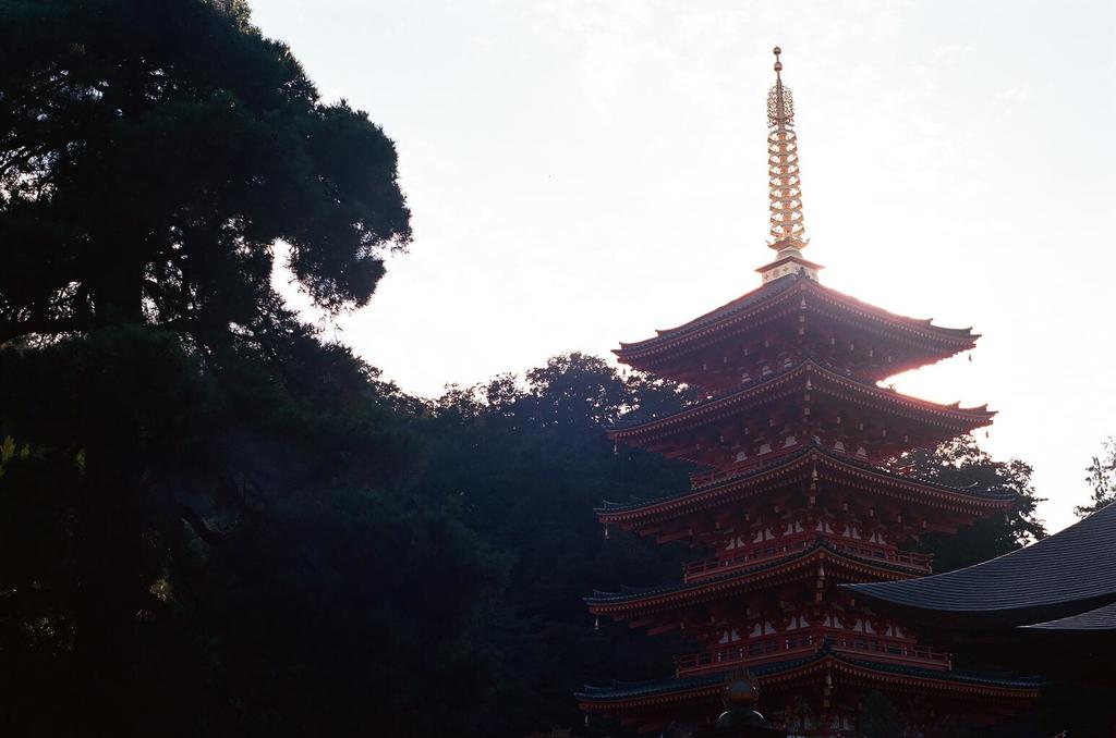 高幡不動の塔