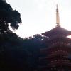 高幡不動の塔