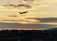 夕日