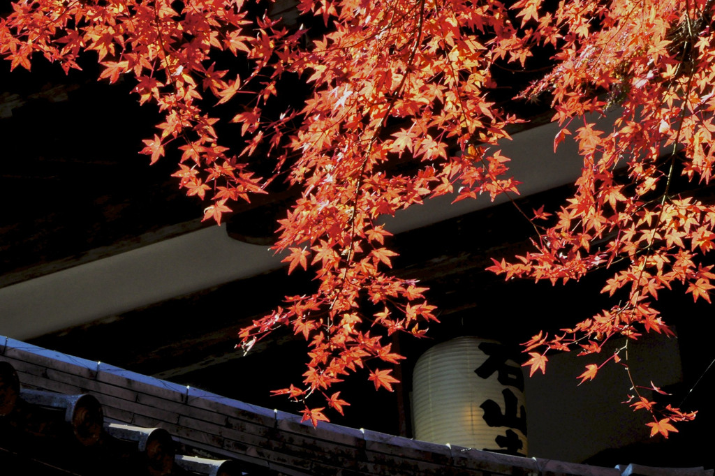 紅葉　石山寺