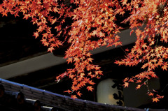紅葉　石山寺
