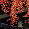 紅葉　石山寺