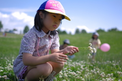 しろつめ草を集めて